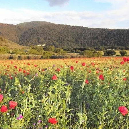 בית חווה Il Casalino